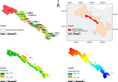 Variations in Soil C, N, P Stocks and Stoichiometry With Soil Depth and Forest Types in Qilian Mountains of Northwest China